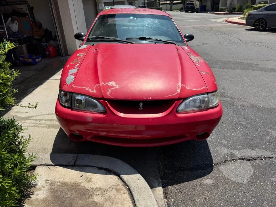 1994 Ford SN95 Mustang - Image 6 of 10
