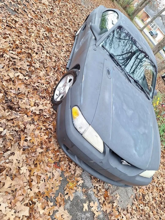 1995 Ford SN95 Mustang - Image 2 of 5