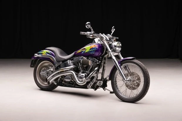 2000 Harley-Davidson Softail - Image 3 of 6