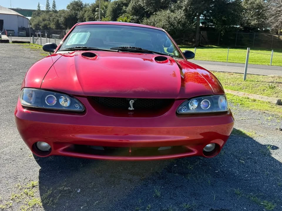 1996 Ford SN95 Mustang Cobra - Image 4 of 10