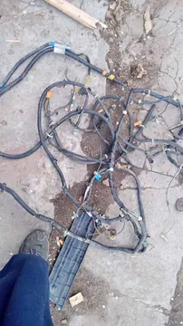 Acura Integra Wire Harnesses
