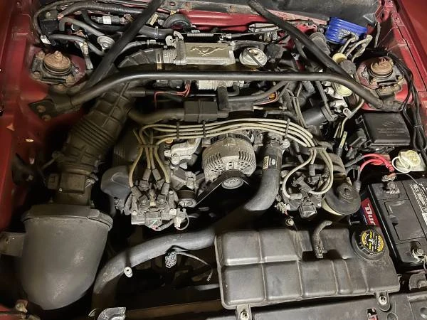 1997 Ford SN95 Mustang - Image 14 of 14