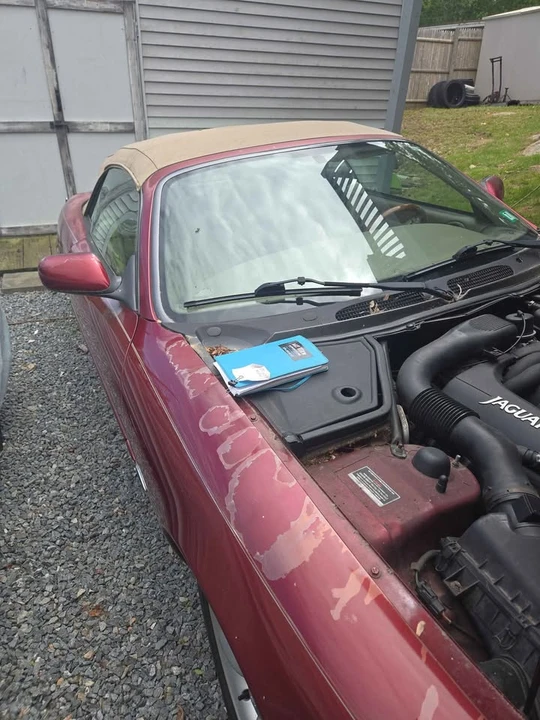 1997 Jaguar X100 XK8 - Image 8 of 10