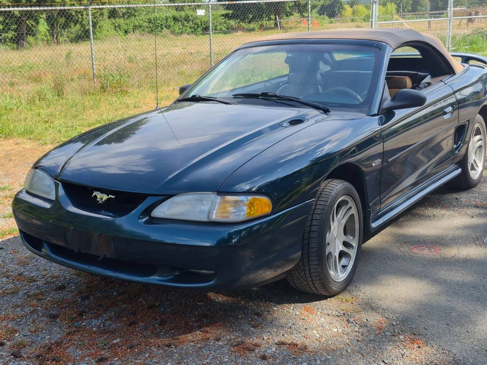 1997 Ford SN95 Mustang - Image 6 of 9