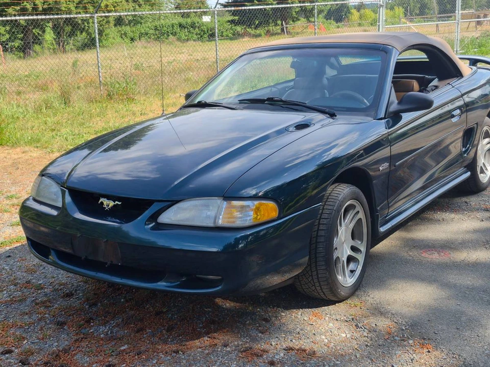 1997 Ford SN95 Mustang - Image 7 of 9