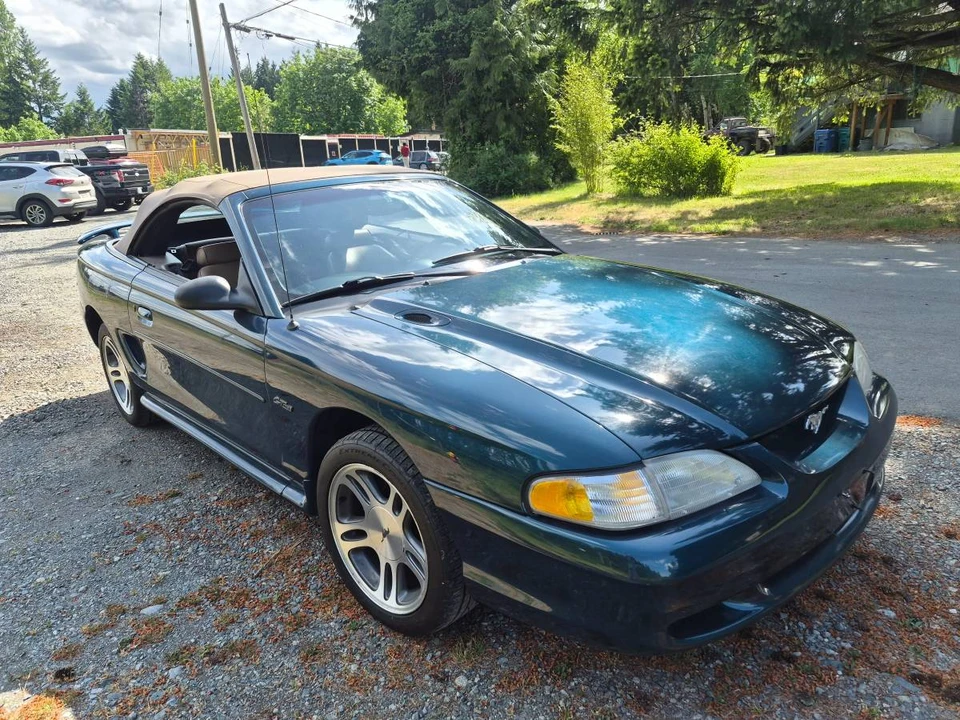 1997 Ford SN95 Mustang - Image 8 of 9