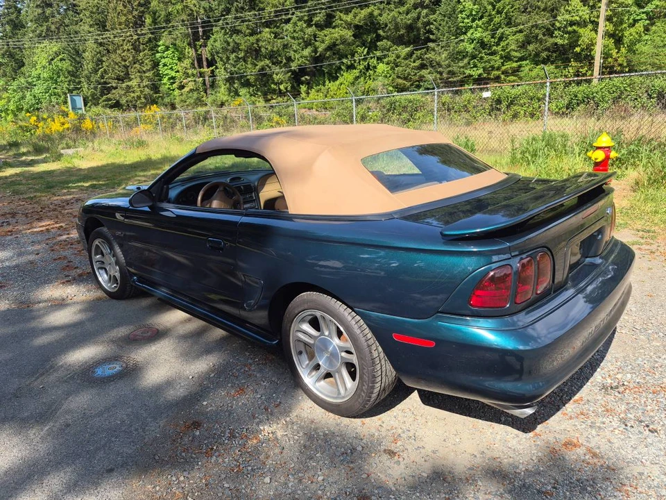 1997 Ford SN95 Mustang - Image 2 of 9