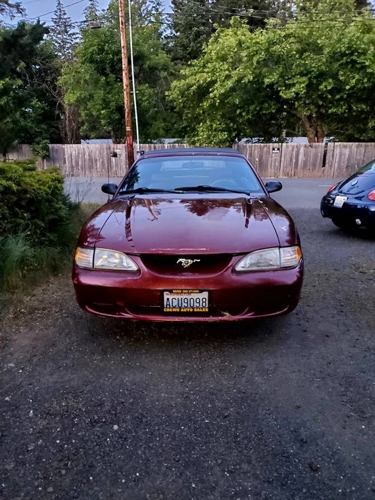 1997 Ford SN95 Mustang - Image 6 of 6