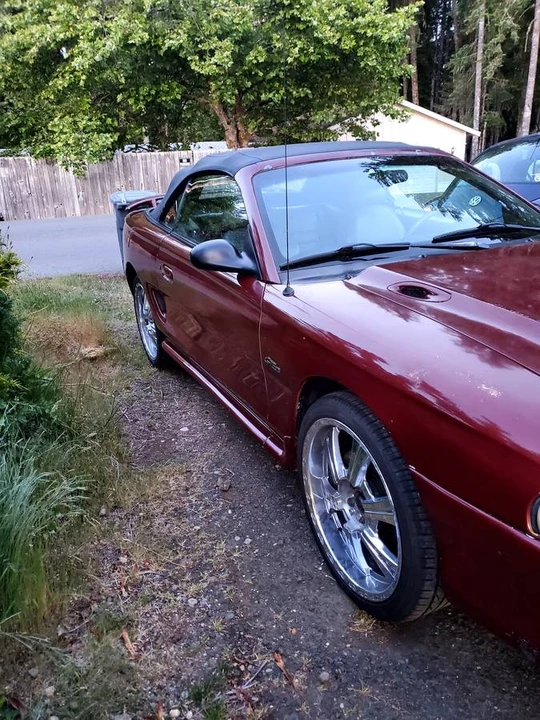 1997 Ford SN95 Mustang - Image 3 of 6