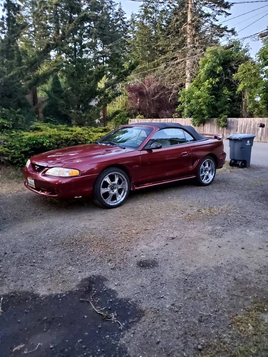 1997 Ford SN95 Mustang - Image 2 of 6