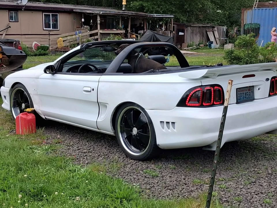 1998 Ford SN95 Mustang - Image 3 of 4