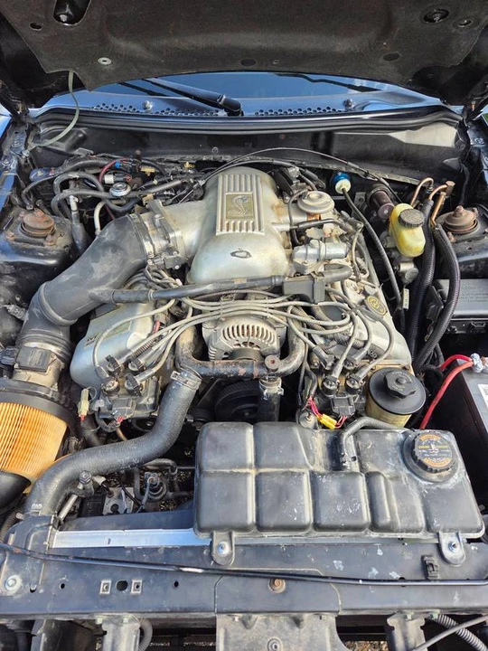 1998 Ford SN95 Mustang Cobra - Image 9 of 9