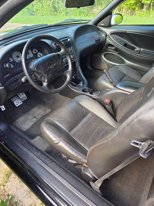 1998 Ford SN95 Mustang Cobra - Image 8 of 9