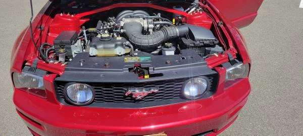 2005 Ford S197 Mustang - Image 10 of 16