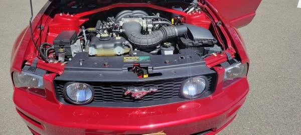 2005 Ford S197 Mustang - Image 10 of 16