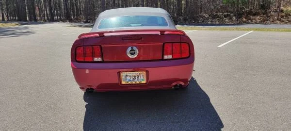 2005 Ford S197 Mustang - Image 6 of 16