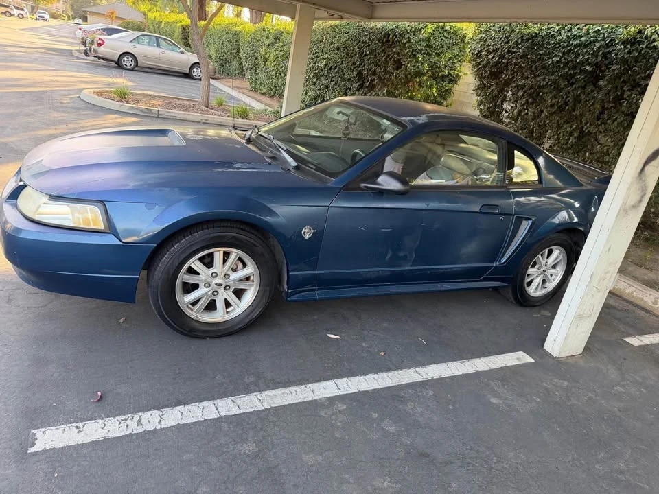 1999 Ford SN95 Mustang - Image 5 of 7