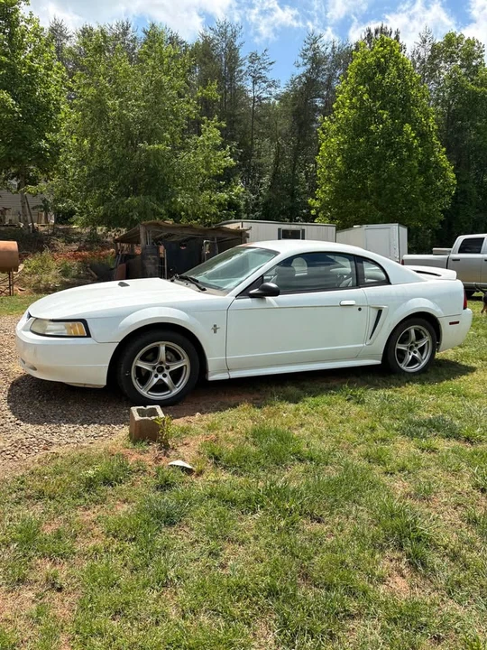 1999 Ford SN95 Mustang - Image 2 of 6