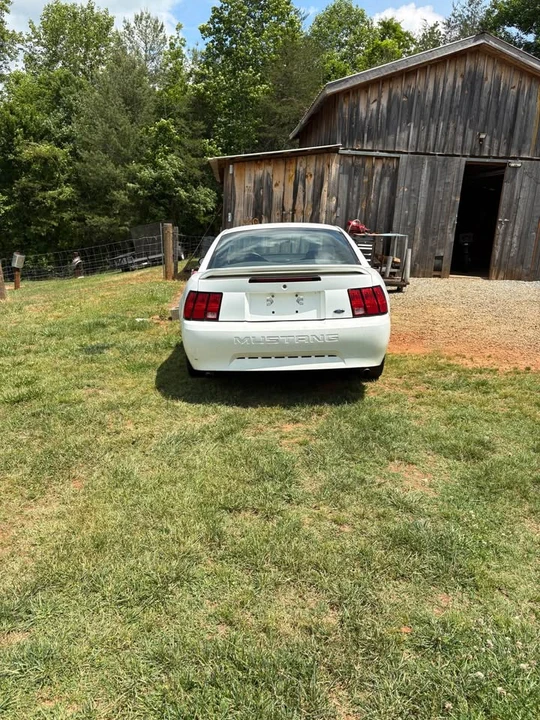 1999 Ford SN95 Mustang - Image 3 of 6