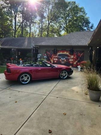 1999 Ford SN95 Mustang - Image 8 of 8