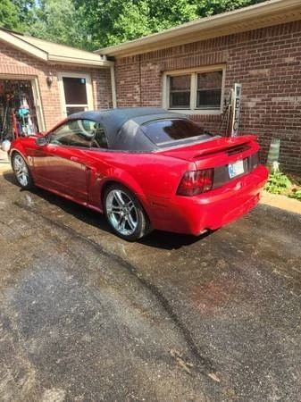 1999 Ford SN95 Mustang - Image 4 of 8