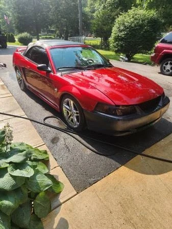 1999 Ford SN95 Mustang - Image 3 of 8