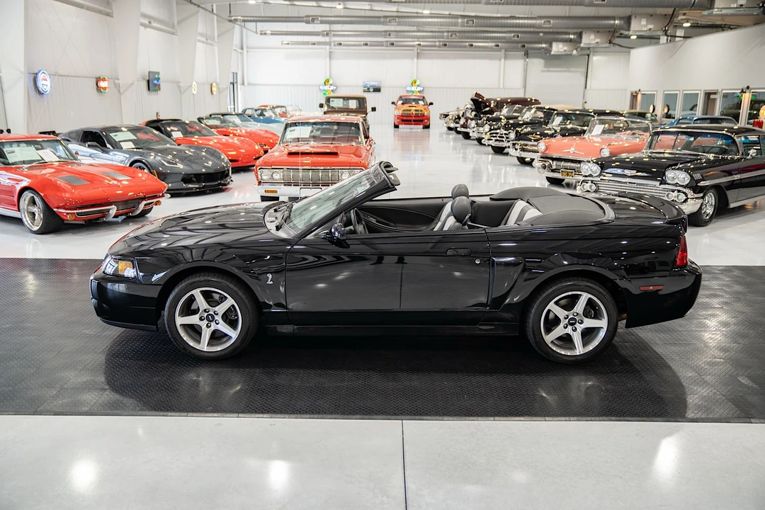 2003 Ford SN95 Mustang Cobra - Image 6 of 31