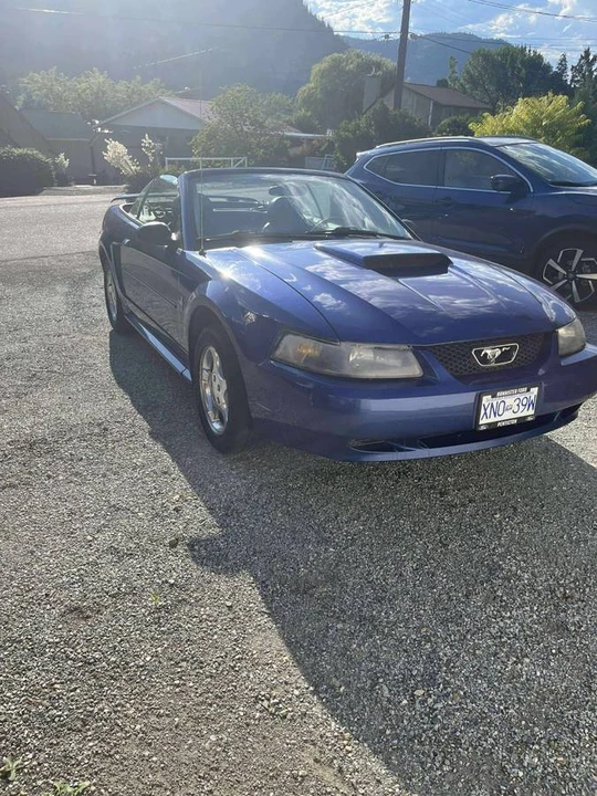 2003 Ford SN95 Mustang - Image 2 of 9
