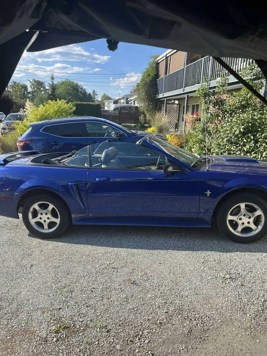 2003 Ford SN95 Mustang - Image 3 of 9