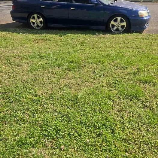 Acura TL 3rd Gen - Image 1 of 1