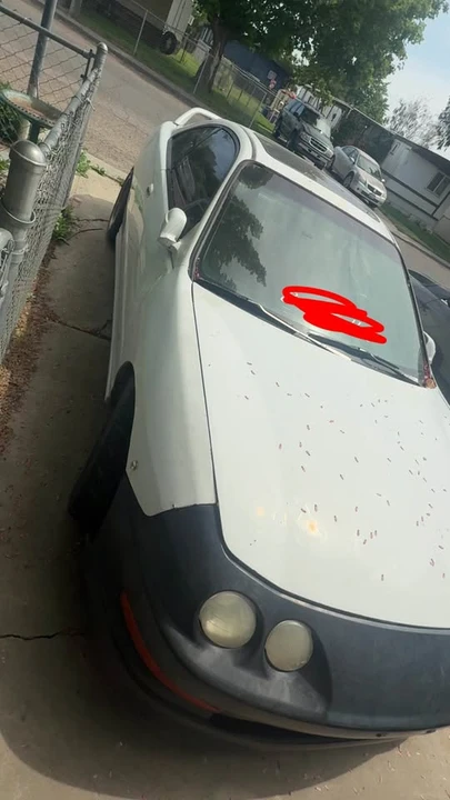 1998 Acura Integra 3rd Gen - Image 4 of 5
