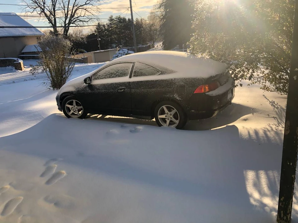 2002 Acura RSX Type-S - Image 14 of 14