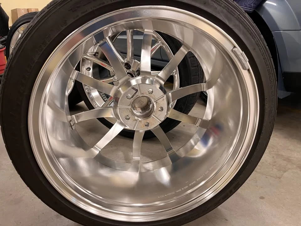 Shelby - Image 2 of 8