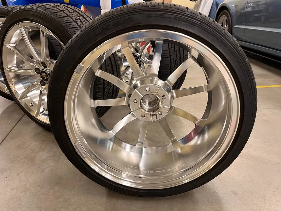 Shelby - Image 6 of 8