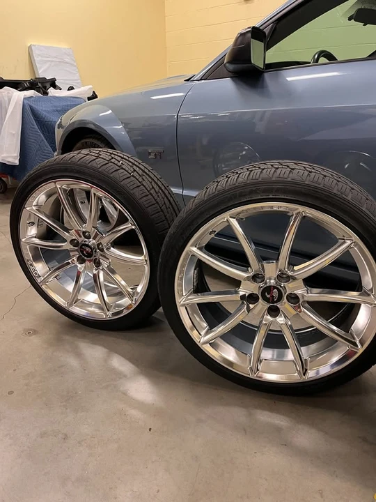 Shelby - Image 7 of 8