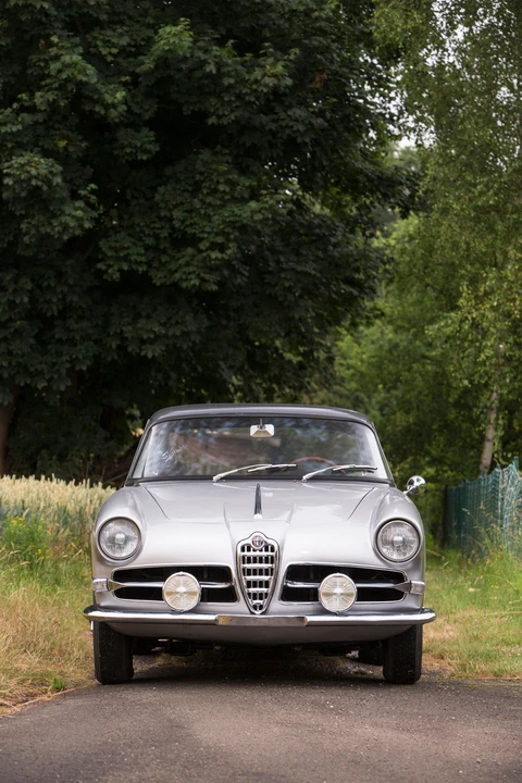 1900 Alfa Romeo 1900 - Image 5 of 31
