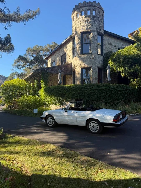 1989 Alfa Romeo Series 3 - Image 16 of 23