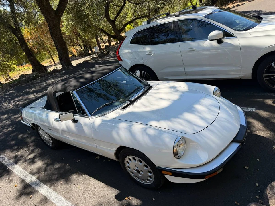 1989 Alfa Romeo Series 3 - Image 11 of 23