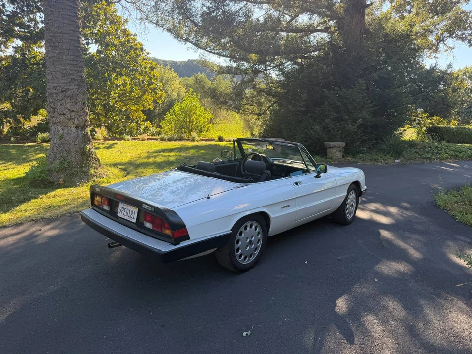 1989 Alfa Romeo Series 3 - Image 22 of 23