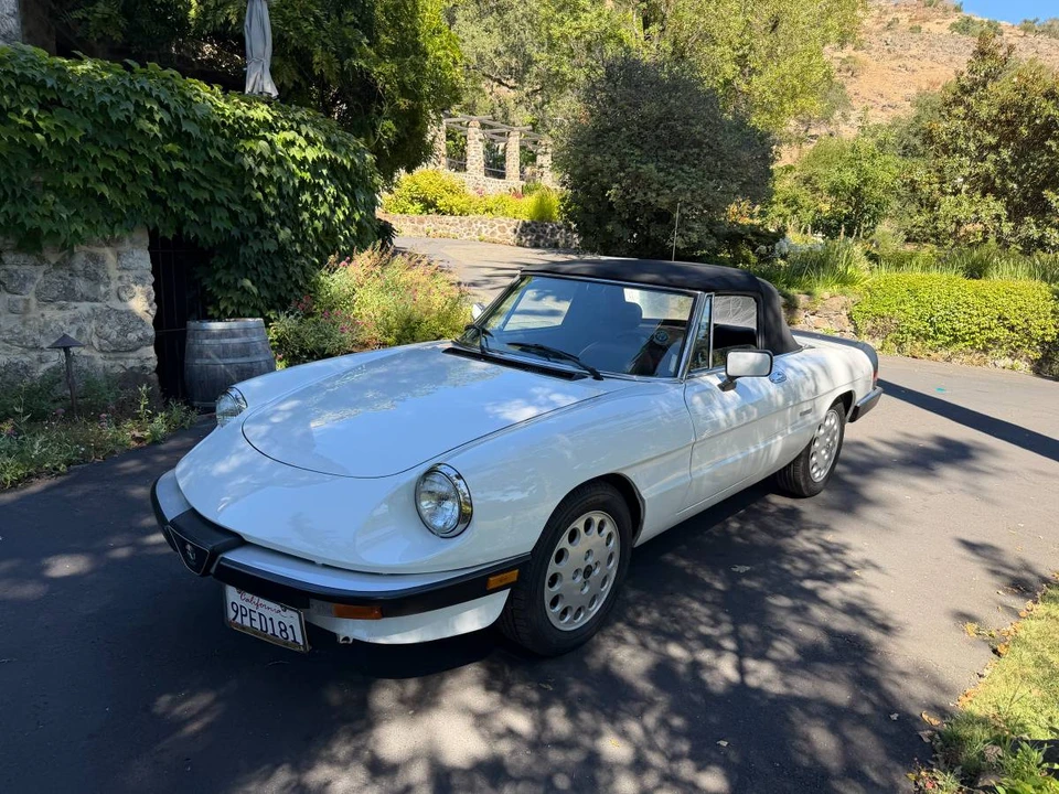 1989 Alfa Romeo Series 3 - Image 7 of 23