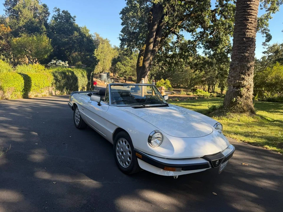 1989 Alfa Romeo Series 3 - Image 14 of 23