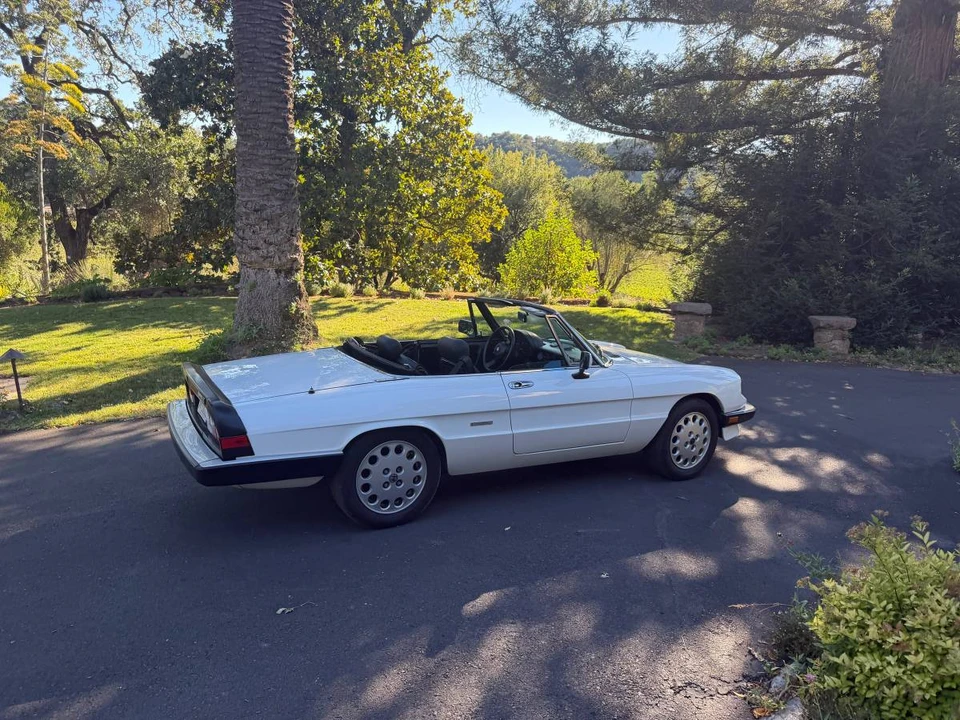 1989 Alfa Romeo Series 3 - Image 3 of 23
