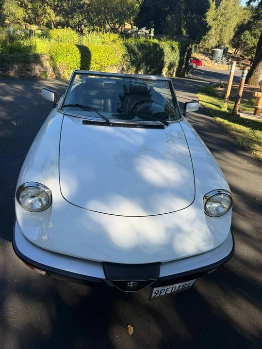 1989 Alfa Romeo Series 3 - Image 13 of 23