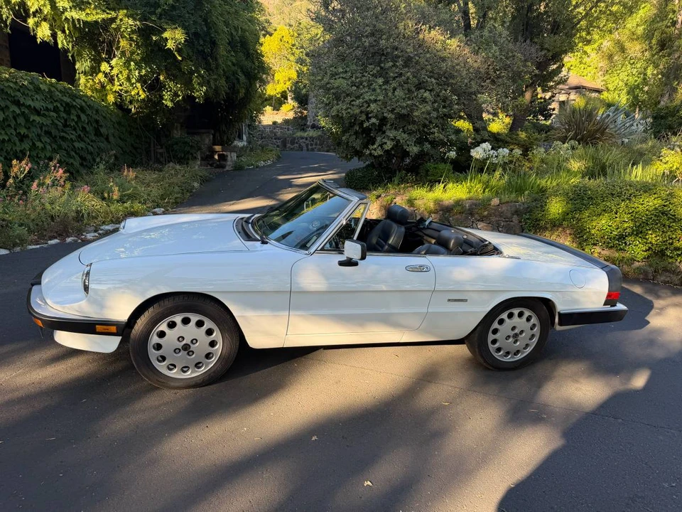 1989 Alfa Romeo Series 3 - Image 8 of 23