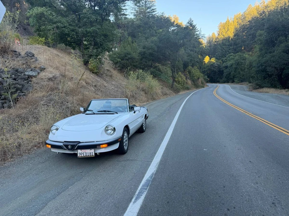 1989 Alfa Romeo Series 3 - Image 7 of 23