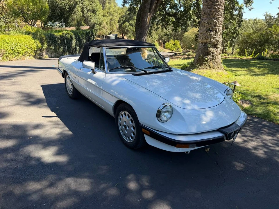 1989 Alfa Romeo Series 3 - Image 6 of 23