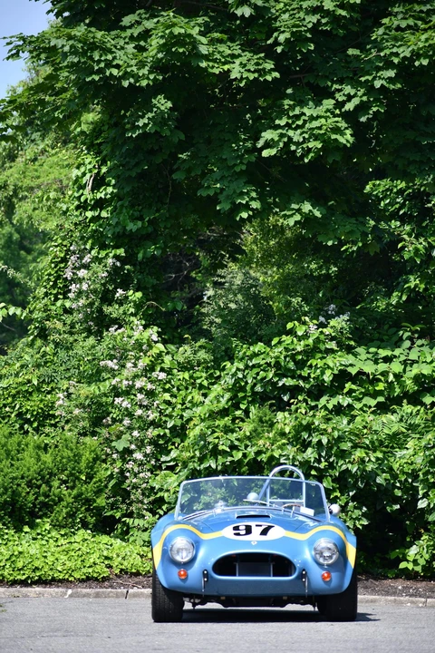 Shelby CSX Cobra Continuation - Image 18 of 31