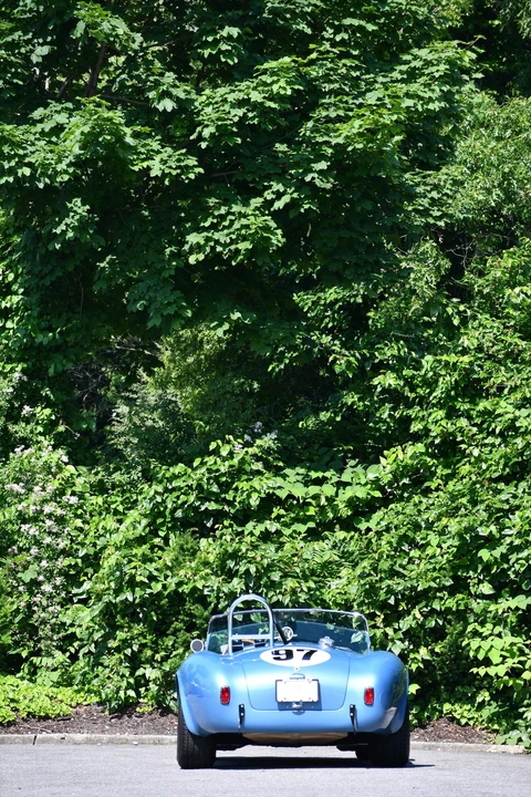 Shelby CSX Cobra Continuation - Image 9 of 31