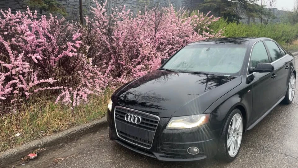 2011 Audi B8 A4 - Image 5 of 5