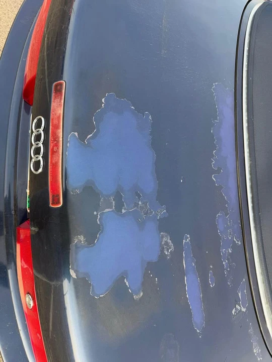 1996 Audi Coupe & Cabriolet - Image 6 of 10